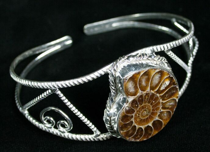 Beautiful Ammonite Fossil Bracelet #4555